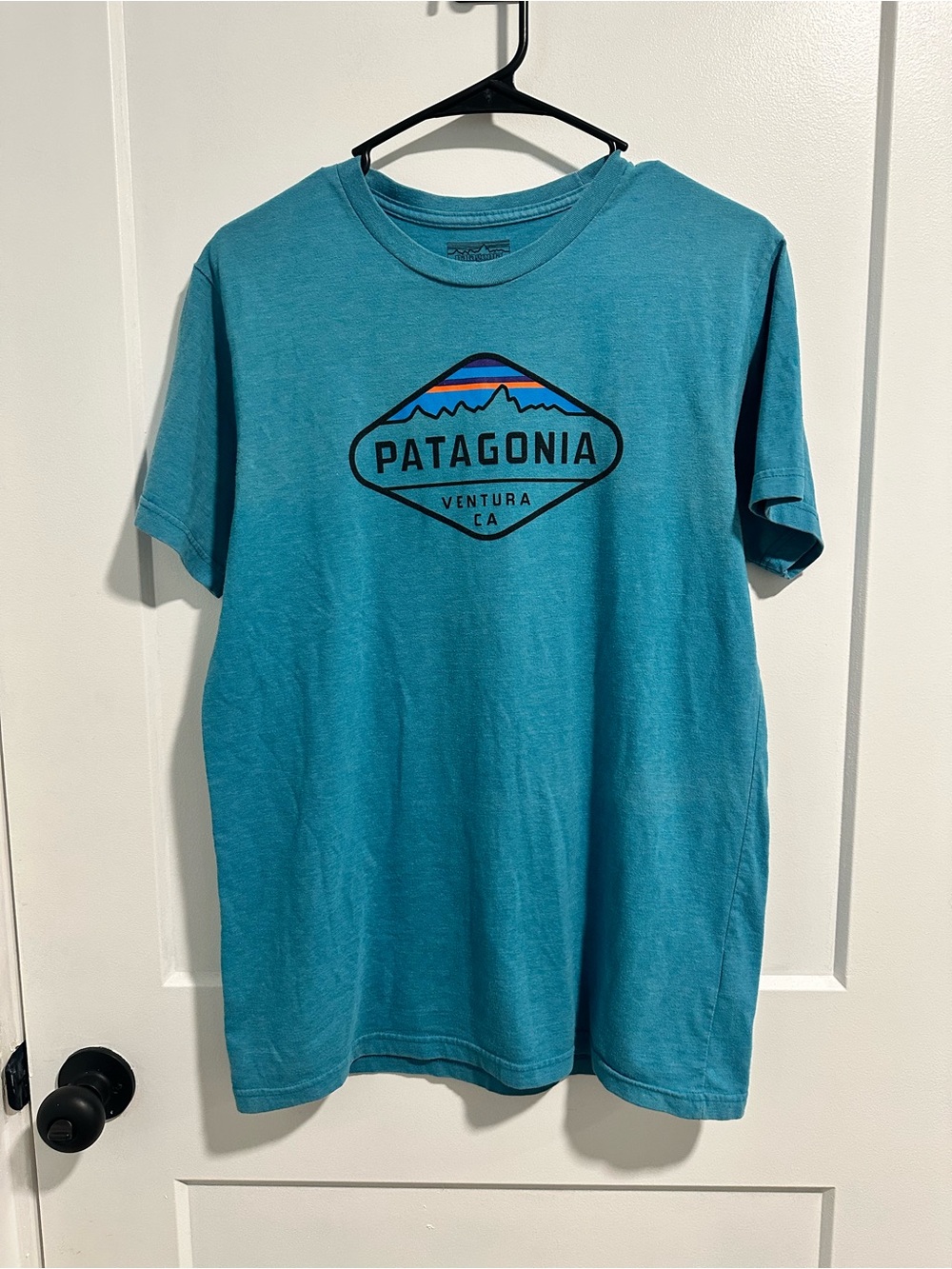 Patagonia Teal Short-Sleeve Logo Tee